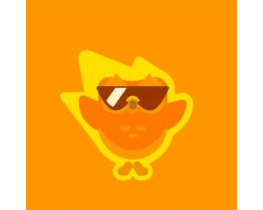 Duolingo Pro Account Premium 1 Yaer Global Applicable Worldwide Activate Your Own Account